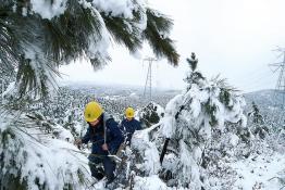 蘇皖因暴雪受損線路恢復(fù)供電