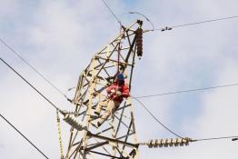 多舉措防鳥(niǎo)害 保電網(wǎng)安全