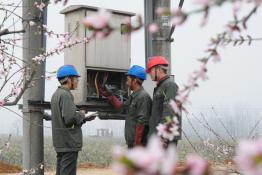 在那桃花盛開(kāi)的地方