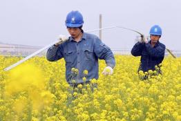 新增臺(tái)區(qū) 備戰(zhàn)夏峰