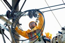 帶電作業(yè)服務(wù)政府重點(diǎn)建設(shè)項(xiàng)目