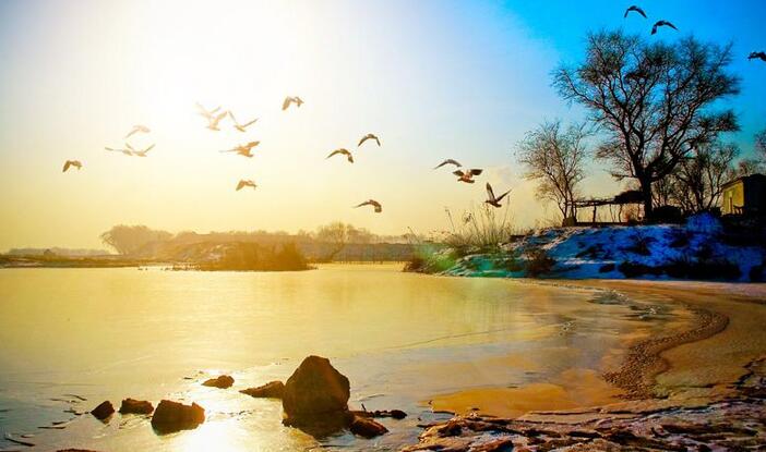 遼寧電力體制改革試點(diǎn)獲批之后 電力交易進(jìn)行的如何了？