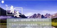 守護碧水藍天 國家電投在“中華水塔”都做了啥？