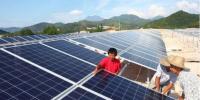 真相大白：光伏真的躺著都能賺錢？