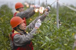 2013年國網(wǎng)浙江省電力公司20大新聞 （二）