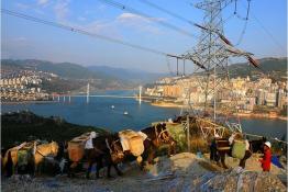 穿行在林間的騾馬運(yùn)輸隊(duì)