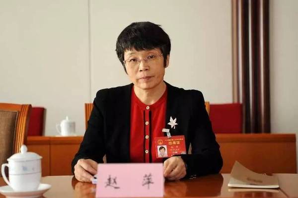 東方風電趙萍：海上風機大型化是趨勢，中國已落后一步