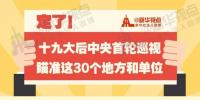 定了！華電集團、中核集團將接受十九屆中央第一輪巡視