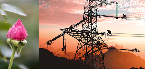 南方區(qū)跨省跨區(qū)交易，2018年會是待放的玫瑰嗎？