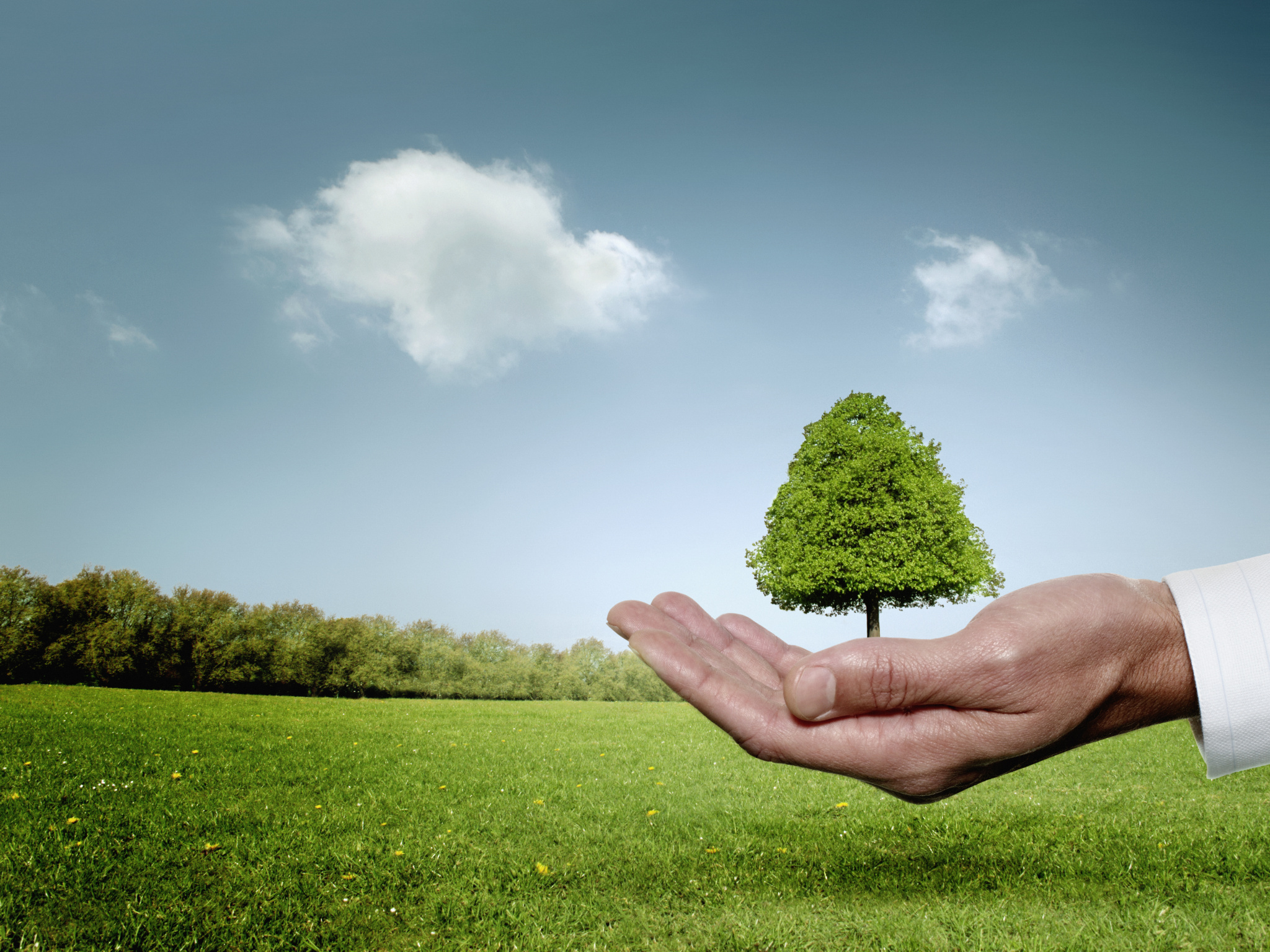 “綠證”成為新風潮，持續(xù)發(fā)力！