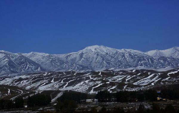 青海確定祁連山國家公園體制試點在內(nèi)4項林業(yè)重點改革任務(wù)