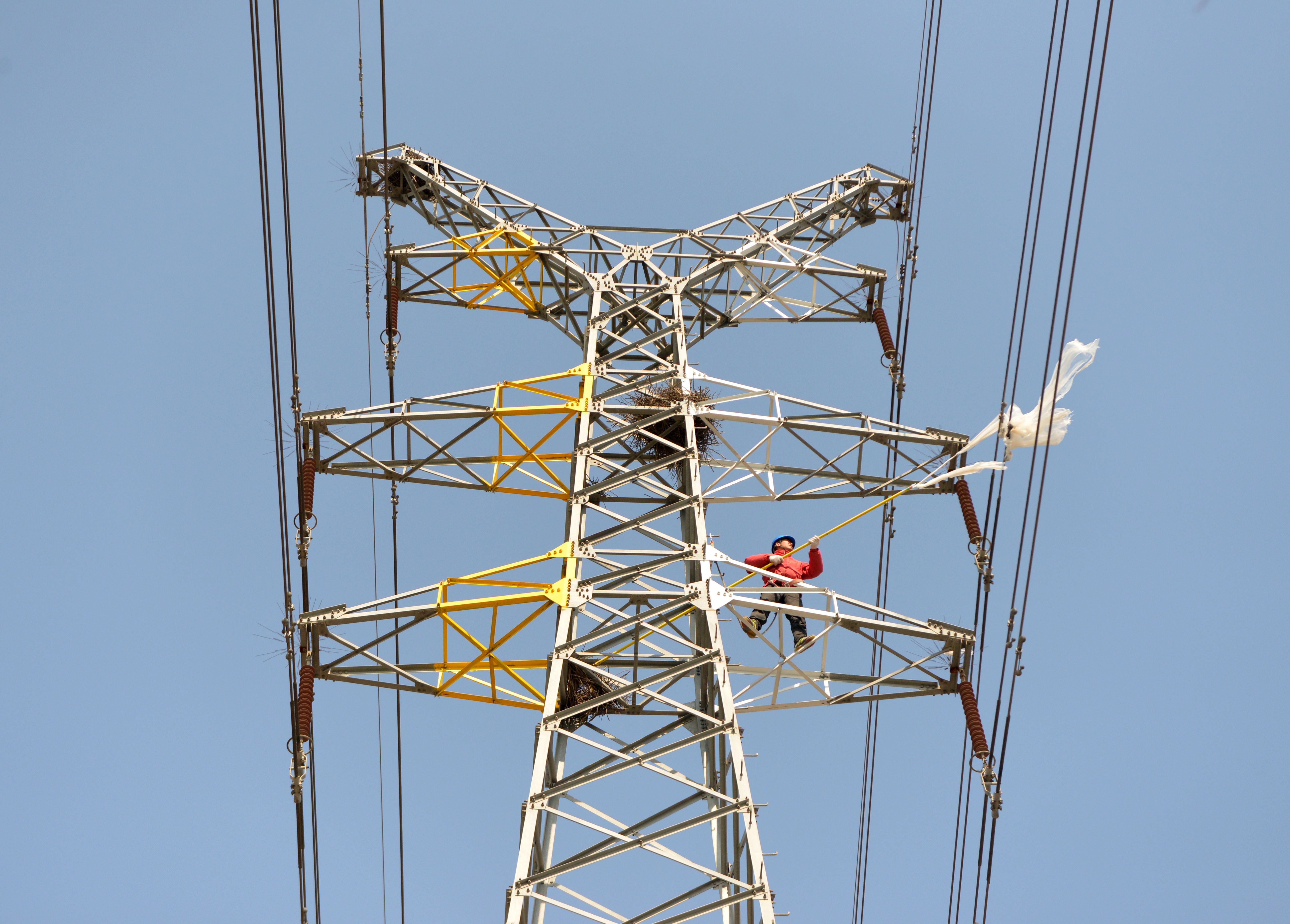 大豐供電除線路隱患保節(jié)日可靠供電