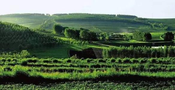 中國(guó)最大國(guó)有林區(qū)碳匯交易額破百萬(wàn)元