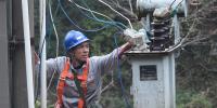 靈川供電線路專項整治確保新春用電
