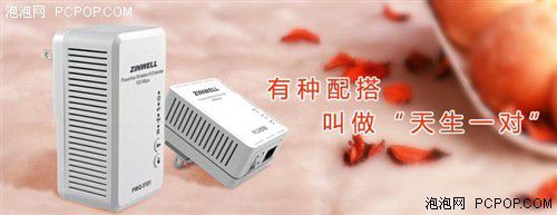 電力貓的版本眾多，從電力線傳輸技術(shù)上就可以分為HomePlug和G.hn，采用相同電力線通信技術(shù)的電力貓還可以分為有線電力貓和無線電力貓，而在無線電力貓中還有無線AP和無線路由的區(qū)別。外觀功能上的區(qū)別就更大了，以ZINWELL為例，就先后推出了單口有線電力貓，帶電源延長(zhǎng)線的電力貓，多口有線電力貓，電力貓無線路由器，無線AP電力貓，帶電源插座的電力貓等。