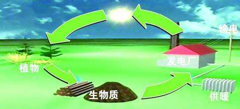 生物質(zhì)是替代核電、火電 彌補天然氣缺口的一種重要新能源