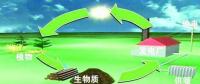 生物質(zhì)是替代核電、火電 彌補天然氣缺口的一種重要新能源