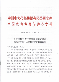 電力知識(shí)產(chǎn)權(quán)<font color=