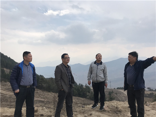 蘭樹林檢察長(zhǎng)實(shí)地調(diào)研協(xié)調(diào)解決清溪風(fēng)電建設(shè)遺留問題
