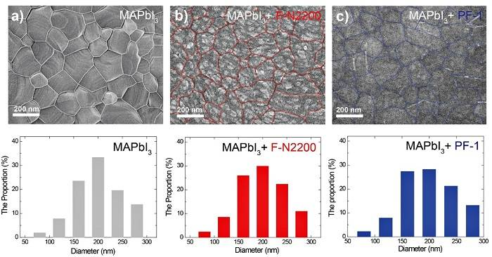 蘇州大學(xué)馬萬里團(tuán)隊Adv. Funct. Mater.：共軛聚合物助力鈣鈦礦電池效率及穩(wěn)定性