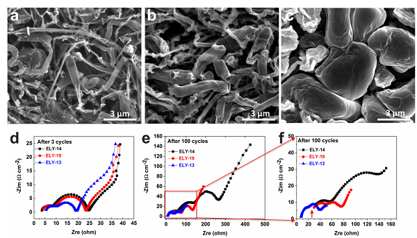 專題報道：Imide-Orthoborate雙鹽電解質(zhì)體系抑制鋰枝晶及提升鋰金屬庫侖效率的研究