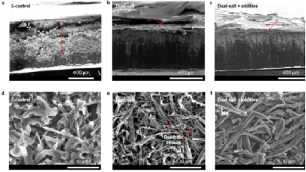 專題報道：Imide-Orthoborate雙鹽電解質(zhì)體系抑制鋰枝晶及提升鋰金屬庫侖效率的研究