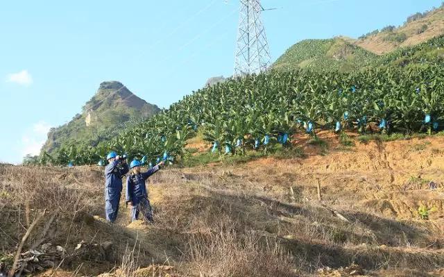 聽說最近輸電線路和鐵塔“火”啦！