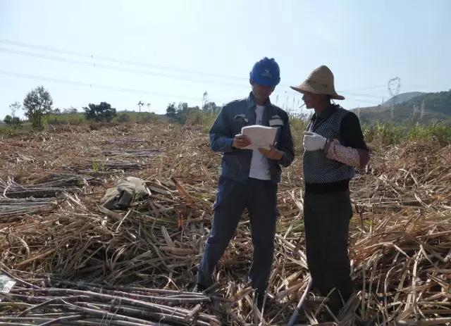 聽說最近輸電線路和鐵塔“火”啦！