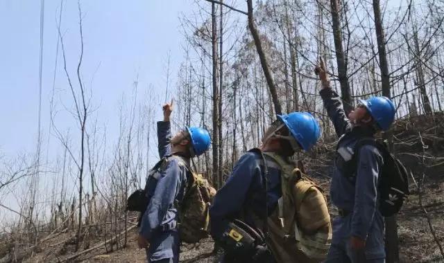 聽說最近輸電線路和鐵塔“火”啦！