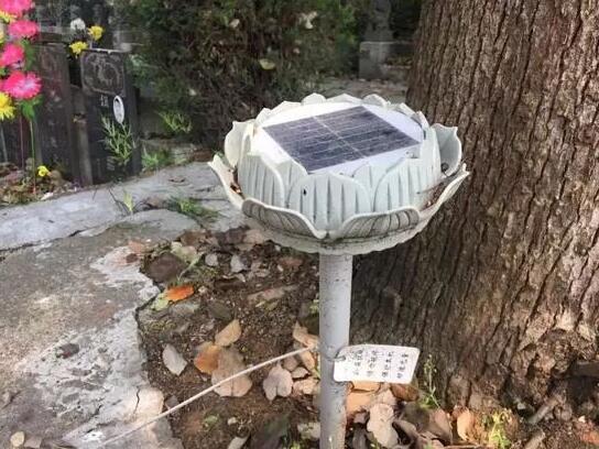 墓地傳來哭聲 周圍卻沒有人影 清明節(jié)你被光伏嚇著了嗎？