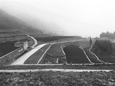 土壤治理修復的“川味”經(jīng)驗