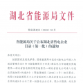湖北省首批68家售電公司通過公示！4月20日前辦理注冊(cè)手續(xù)