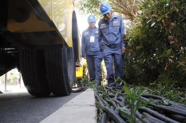 楚雄州慶，跟著小赫茲一起湊熱鬧！