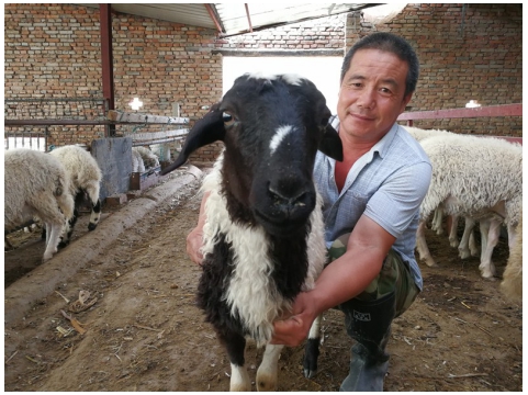 加強終端銷售體系建設(shè) 構(gòu)建生態(tài)養(yǎng)殖產(chǎn)業(yè)鏈閉