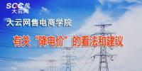 有關(guān)“降電價”的看法和建議