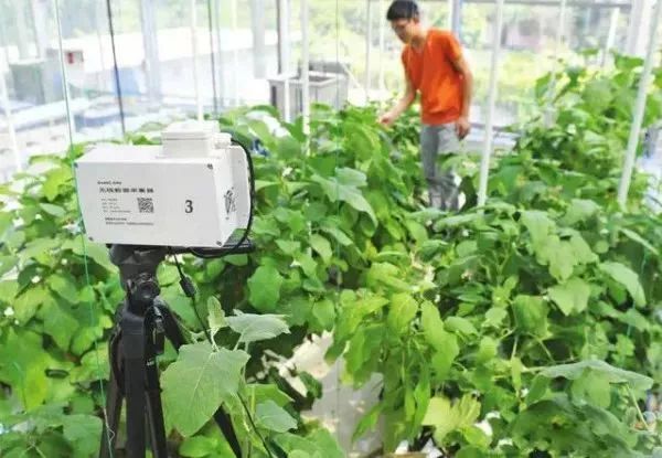 互聯(lián)網(wǎng)+農(nóng)業(yè)，6大創(chuàng)業(yè)方向是…