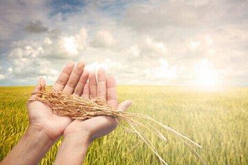 杜培良打造中國生態(tài)農(nóng)牧業(yè)商城，助力最美新農(nóng)村建設