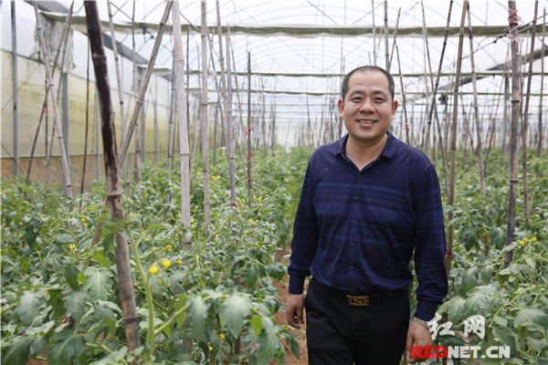 北湖區(qū)“互聯(lián)網(wǎng)+農(nóng)業(yè)”助推農(nóng)產(chǎn)品區(qū)域品牌建設(shè)