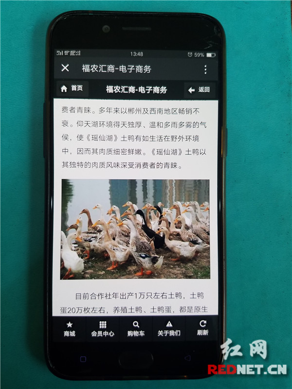 北湖區(qū)“互聯(lián)網(wǎng)+農(nóng)業(yè)”助推農(nóng)產(chǎn)品區(qū)域品牌建設(shè)