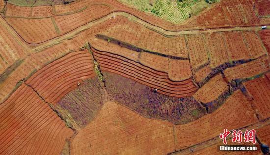 土壤修復成“污染搬家” 背后折射行業(yè)尷尬現狀