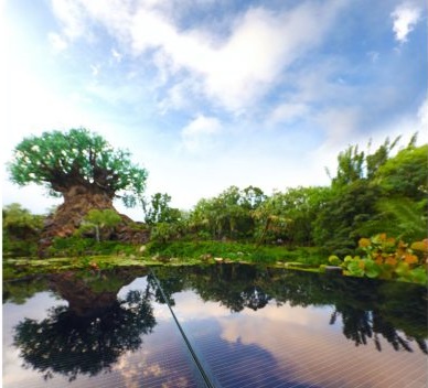 太陽能樂園來了！華特迪士尼將建50MW光伏電站