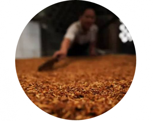 麥田國際——麥田里的守望者，“互聯(lián)網(wǎng)+農(nóng)業(yè)”的先行者