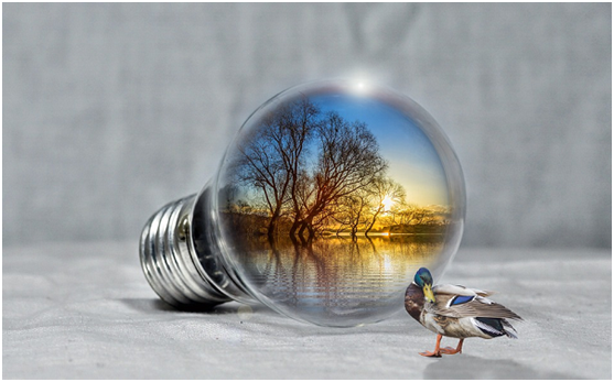 嚴(yán)控時(shí)代來臨：光伏企業(yè)或?qū)ⅡT虎難下