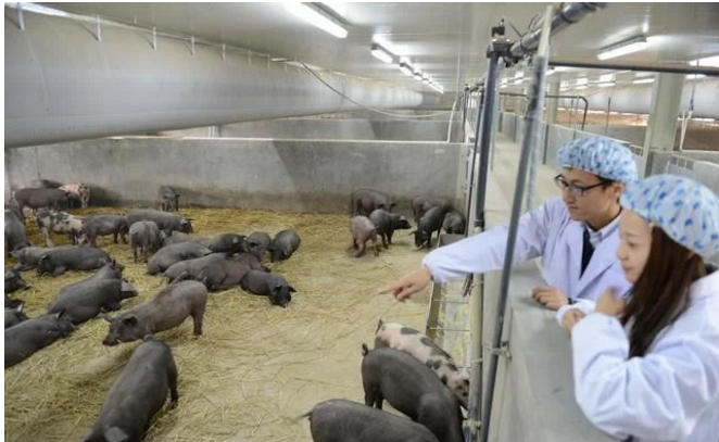 互聯(lián)網(wǎng)給農(nóng)民農(nóng)業(yè)帶來了什么？本文告訴你！