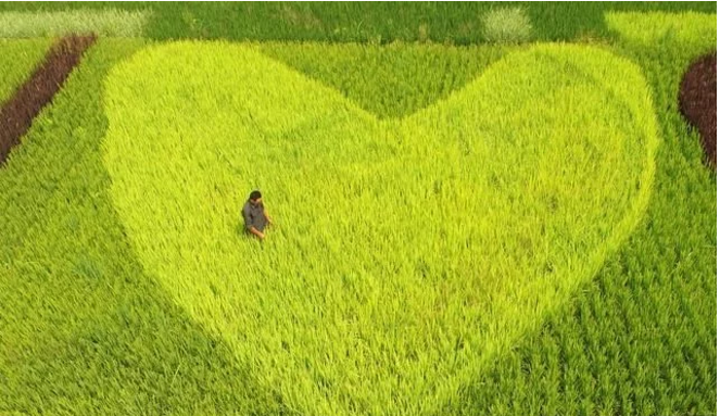 互聯(lián)網(wǎng)給農(nóng)民農(nóng)業(yè)帶來了什么？本文告訴你！