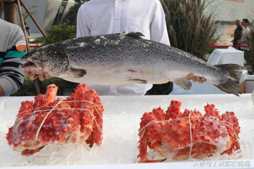 互聯(lián)網(wǎng)+農(nóng)業(yè)，最好切入的是銷售環(huán)節(jié)？