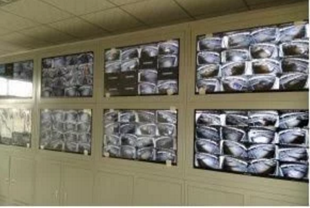 智能化養(yǎng)豬系統(tǒng)，現(xiàn)代化農(nóng)業(yè)發(fā)展之路