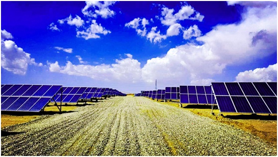 市場風(fēng)向波云詭譎 光伏企業(yè)竟跨界成風(fēng)？