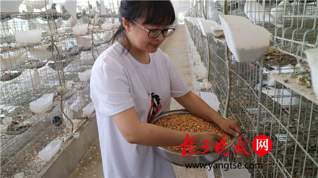 一個(gè)“80”后研究生的“綠色農(nóng)業(yè)夢(mèng)”：用“互聯(lián)網(wǎng)+”思維做農(nóng)業(yè)，新型職業(yè)農(nóng)民“潮”起來