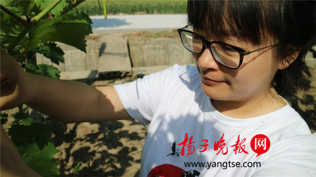 一個(gè)“80”后研究生的“綠色農(nóng)業(yè)夢(mèng)”：用“互聯(lián)網(wǎng)+”思維做農(nóng)業(yè)，新型職業(yè)農(nóng)民“潮”起來